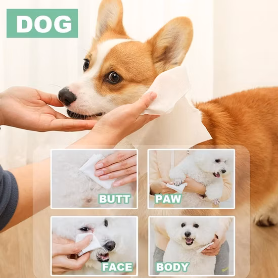 Grundlegende Anpassung: Baby/Erwachsene/Haustier, antibakteriell/desinfizierend/Desinfektionsmittel/Alkohol/Make-up-Entferner, spülbare Gesichtsreinigung, feuchte Handtücher/Tücher